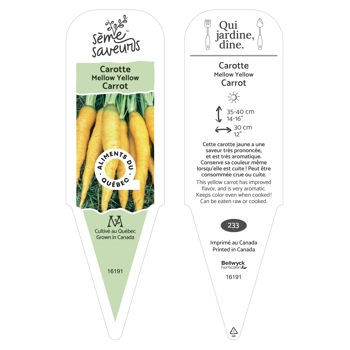 Plant de Carotte Mellow Yellow