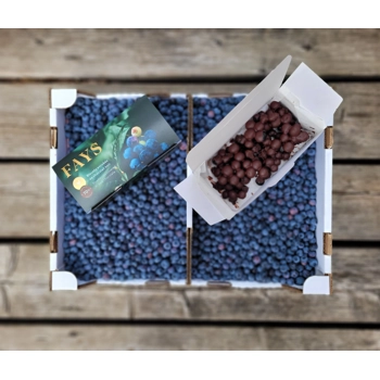 Bleuets enrobées de chocolat noir 70 %