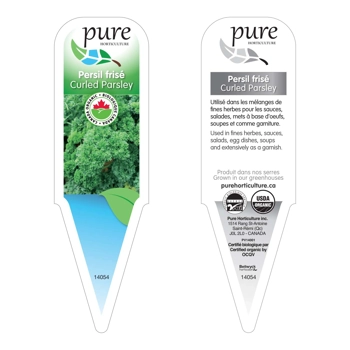 PERSIL FRISÉ BIOLOGIQUE EN POT