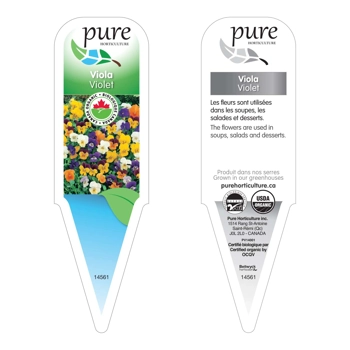 VIOLA BIOLOGIQUE EN POT