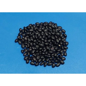 Haricots secs Petits Noirs