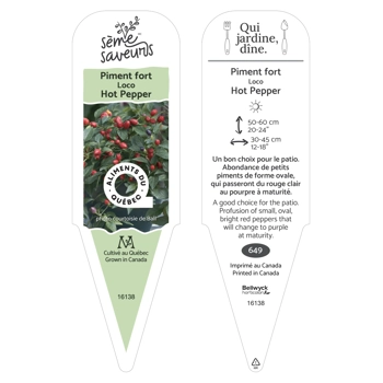 Plant de piment Loco