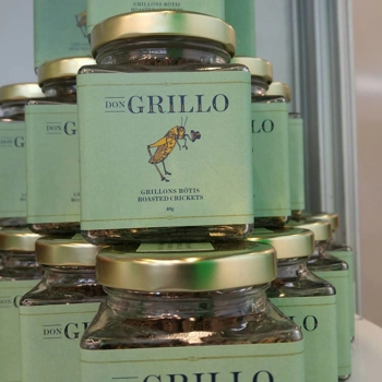 Roast criquet, Don Grillon