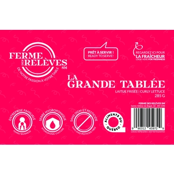 Laitue frisée grand format