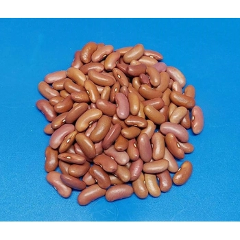 Haricots secs Rouges Pâles