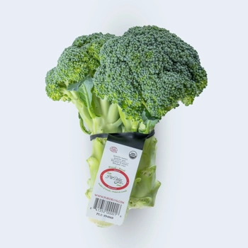 Brocoli biologique