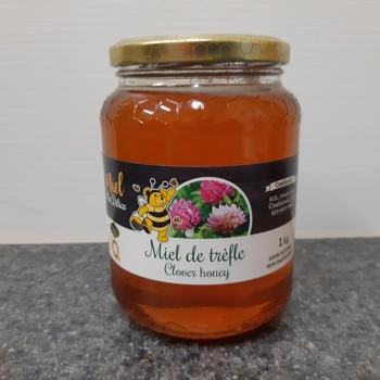 Miel de trèfle