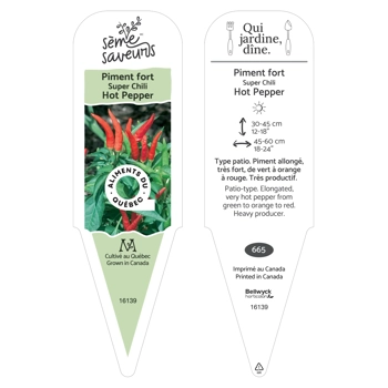 Pepper Suer Chili plant