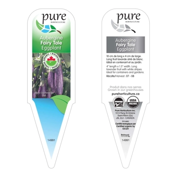AUBERGINE FAIRY TALE BIOLOGIQUE EN POT.