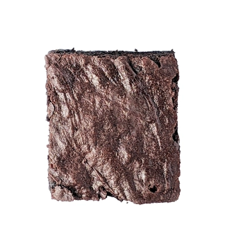 Vegan Rich Chocolate Brownies, gluten-free and top 10 allergen-free