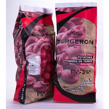 50 lbs Pommes de terre Table Rouge.