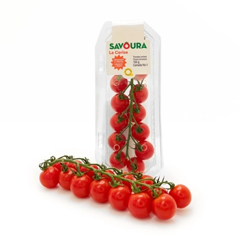 La Cerise | Tomates cerises SAVOURA