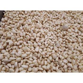 Ail épluché du Québec