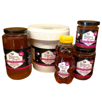 Miel Fleurs de bleuetière