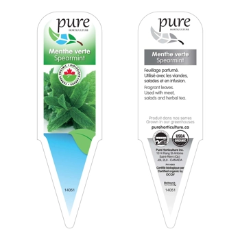 MENTHE VERTE BIOLOGIQUE EN POT