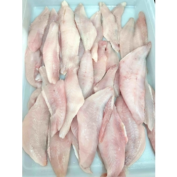 Filet de sébaste frais