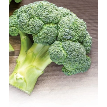 Broccoli