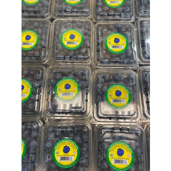 Bleuets en corymbe frais biologiques