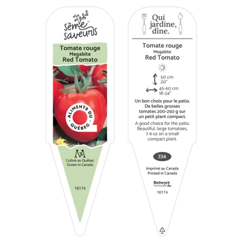 Plant de Tomate Megabite