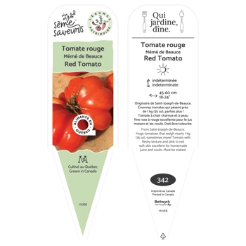 Mémé de Beauce Tomatoe plant