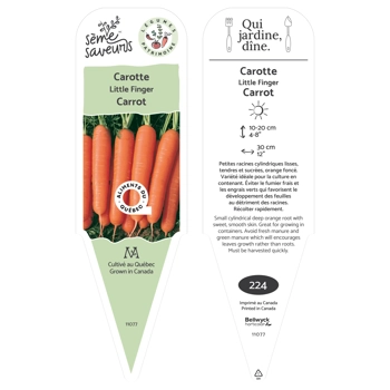 Plant de Carotte Little Finger