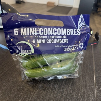 Mini concombre