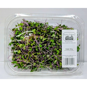 Micropousses de Kale.