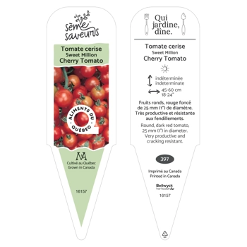 Tomatoe Sweet Million plant