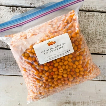 Baies d'argousiers biologiques surgelés