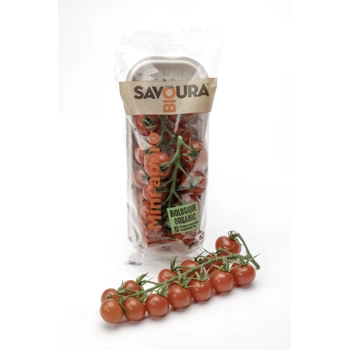 Tomates cerises sur tige de serre - Mini Apéro | Savoura bio