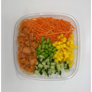 Set of 2 Salmon poke bowl