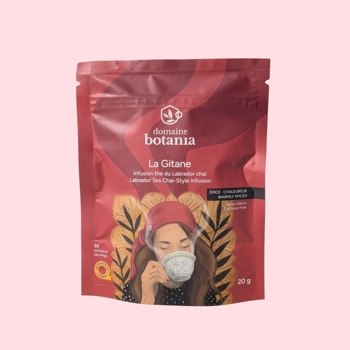 Infusion La Gitane - Thé du Labrador Chaï