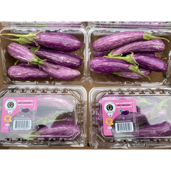 Mini Aubergine Biologique