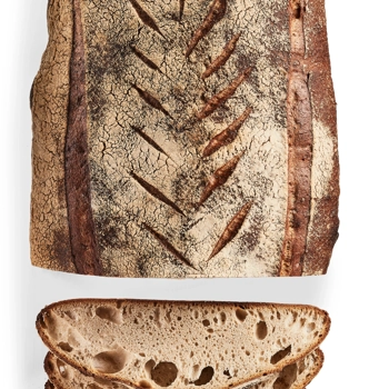 Rustic loaf with Marquis wheat