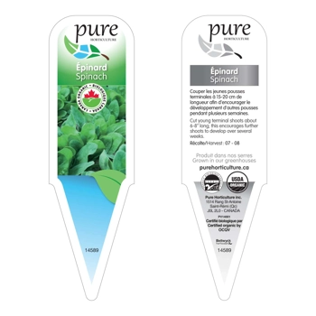 EPINARD (BIOLOGIQUE EN POT)