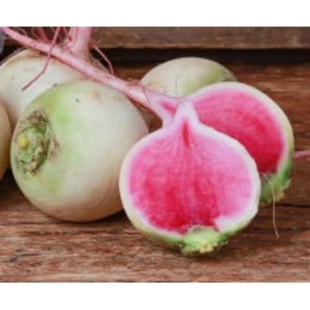 Radis Melon d'eau (sans pesticide)