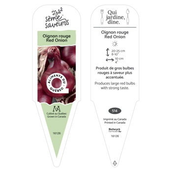 Plant d'Oignon rouge