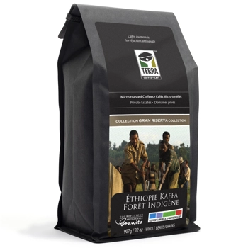 Café - Éthiopie Kaffa Forêt Indigène
