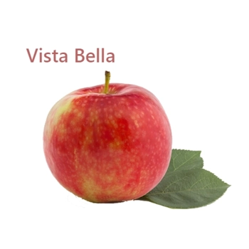 Pommes Vista Bella
