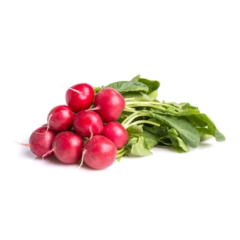 Radis avec feuilles