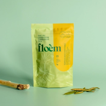 Thé du labrador