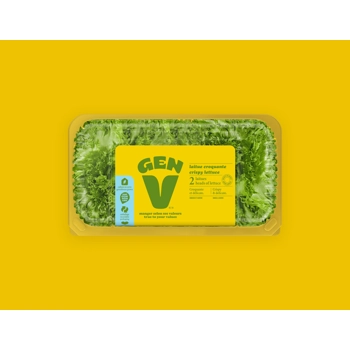 Laitue croquante - 2 laitues