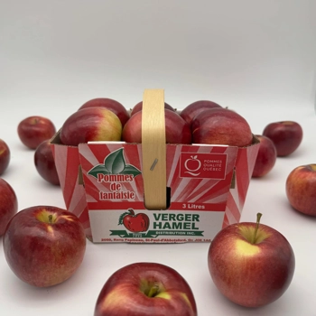 Pommes cortland 3 litres