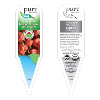 PIMENT FORT TRINIDAD SCORPION BIOLOGIQUE EN POT.