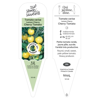 Plant de tomate Lemon Cherry