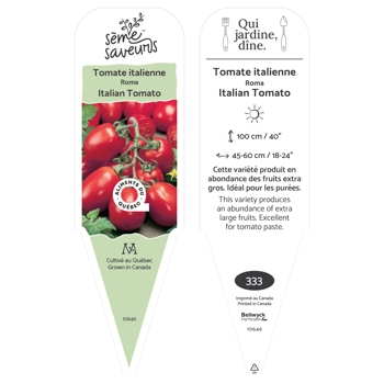 Plant de Tomate italienne Roma
