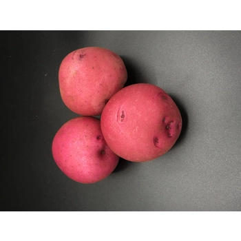Red Potatoes
