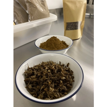 Whole Crickets - Insect's proteins