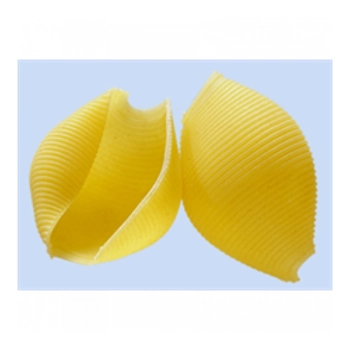 Coquilles super géantes