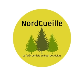 NordCueille